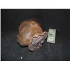 Image 2 : SEVERED ROTTEN BLOODY ZOMBIE HEAD A GRADE 18