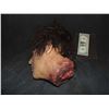Image 2 : SEVERED ROTTEN BLOODY ZOMBIE HEAD A GRADE 28