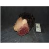 Image 2 : SEVERED ROTTEN BLOODY ZOMBIE HEAD B GRADE 43