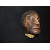 Image 1 : SEVERED ROTTEN BLOODY ZOMBIE HEAD C GRADE 53