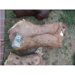 AUTOPSY DEAD BLOODY ROTTEN ZOMBIE BODY 03