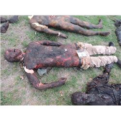 AUTOPSY DEAD BLOODY ROTTEN ZOMBIE BODY 20