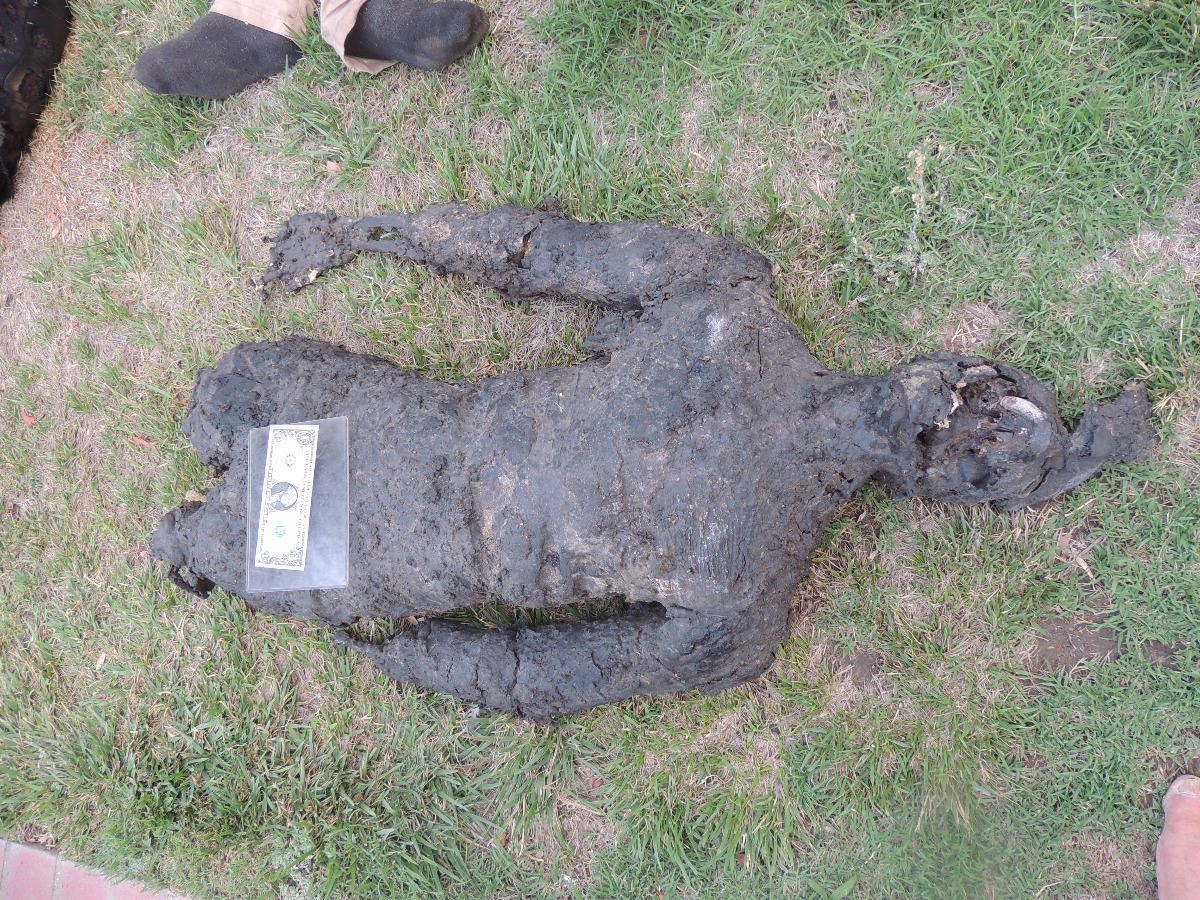 AUTOPSY DEAD BLOODY ROTTEN ZOMBIE BODY 22