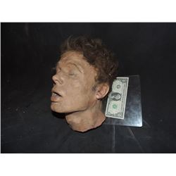 SEVERED ROTTEN BLOODY ZOMBIE HEAD A GRADE 21