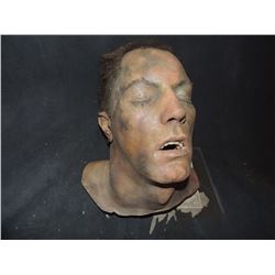 SEVERED ROTTEN BLOODY ZOMBIE HEAD A GRADE 06