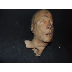 SEVERED ROTTEN BLOODY ZOMBIE HEAD B GRADE 27