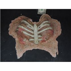 DEAD DEMON WITCH ZOMBIE EXPOSED BREASTS APPLIANCE WITH RIBS 2