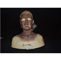 DEAD ROTTEN ZOMBIE WITCH FULL BUST MAKE UP SET