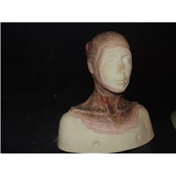 DEAD ROTTEN ZOMBIE WITCH FEMALE MAKE UP COWL ON FULL BUST 5