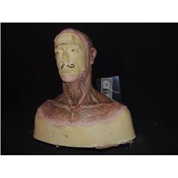 DEAD ROTTEN ZOMBIE WITCH MALE MAKE UP COWL ON FULL BUST 05