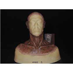 DEAD ROTTEN ZOMBIE WITCH MALE MAKE UP COWL ON FULL BUST 10