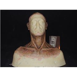 DEAD ROTTEN ZOMBIE WITCH MALE MAKE UP COWL ON FULL BUST 11