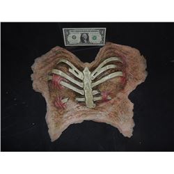 DEAD DEMON WITCH ZOMBIE EXPOSED BREASTS APPLIANCE WITH RIBS 6