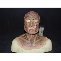 DEAD ROTTEN ZOMBIE WITCH MALE COMPLETE MAKE UP WITH COWL ON FULL BUST 2