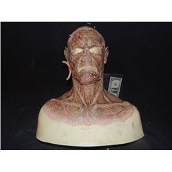 DEAD ROTTEN ZOMBIE WITCH MALE COMPLETE MAKE UP WITH COWL ON FULL BUST 3