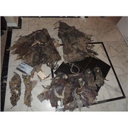 CAVE WOMAN WITCH DOCTOR DEMON COMPLETE WARDROBE