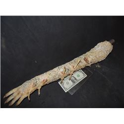 LAST WITCH HUNTER THE SCREEN USED WITCH QUEEN INSERT ARM