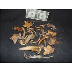 BONES CLAWS AND TEETH LOT OF RUBBER PROPS