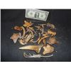 Image 1 : BONES CLAWS AND TEETH LOT OF RUBBER PROPS