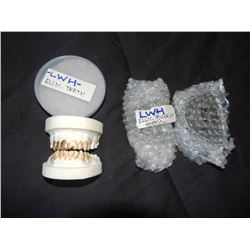 LAST WITCH HUNTER SCREEN USED TEETH 3