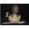 Image 2 : LAST WITCH HUNTER THE WITCH COWL ON BUST 2