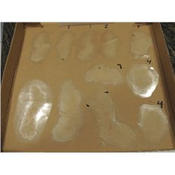 SCAR BURN CUT BOIL SLICE SILICONE TRANSFER LOT 05