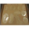 Image 1 : SCAR BURN CUT BOIL SLICE SILICONE TRANSFER LOT 05