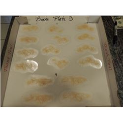 SCAR BURN CUT BOIL SLICE SILICONE TRANSFER LOT 15