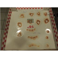 SCAR BURN CUT BOIL SLICE SILICONE TRANSFER LOT 28