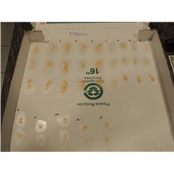 SCAR BURN CUT BOIL SLICE SILICONE TRANSFER LOT 30