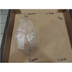 SCAR BURN CUT BOIL SLICE SILICONE TRANSFER LOT 31