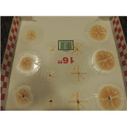 SCAR BURN CUT BOIL SLICE SILICONE TRANSFER LOT 36