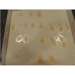 SCAR BURN CUT BOIL SLICE SILICONE TRANSFER LOT 48