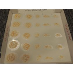 SCAR BURN CUT BOIL SLICE SILICONE TRANSFER LOT 49