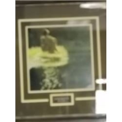 FRAMED PRINT - LET MY SPIRIT SOAR - BEV DOOLITTLE - GALLERY ESTIMATE - $425