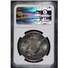 Image 4 : 1921 PEACE DOLLAR NGC MS62