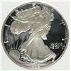 Image 2 : 1989-S AMERICAN SILVER EAGLE PCI GRADED PERFECT PROOF DCAM