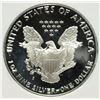 Image 3 : 1989-S AMERICAN SILVER EAGLE PCI GRADED PERFECT PROOF DCAM