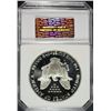 Image 4 : 1989-S AMERICAN SILVER EAGLE PCI GRADED PERFECT PROOF DCAM