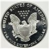 Image 3 : 1993-P AMERICAN SILVER EAGLE PCI GRADED PERFECT PROOF DCAM