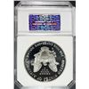 Image 4 : 1999-P AMERICAN SILVER EAGLE PCI GRADED PERFECT PROOF DCAM