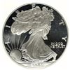 Image 2 : 2000-P AMERICAN SILVER EAGLE PCI GRADED PERFECT PROOF DCAM