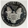 Image 3 : 2001-W AMERICAN SILVER EAGLE PCI GRADED PERFECT PROOF DCAM