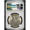 Image 4 : 1923 PEACE SILVER DOLLAR, NGC MS-66 BLAST WHITE!