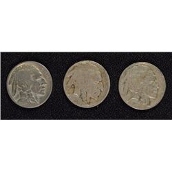 BUFFALO NICKELS: 1919-G, 1919-D VG-F, 1919-S VG