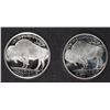 Image 4 : ( 2 ) ONE OUNCE .999 SILVER  INDIAN/BUFFALO ROUNDS