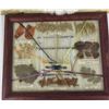 Image 3 : Navajo Weaving Sampler and Dye Chart