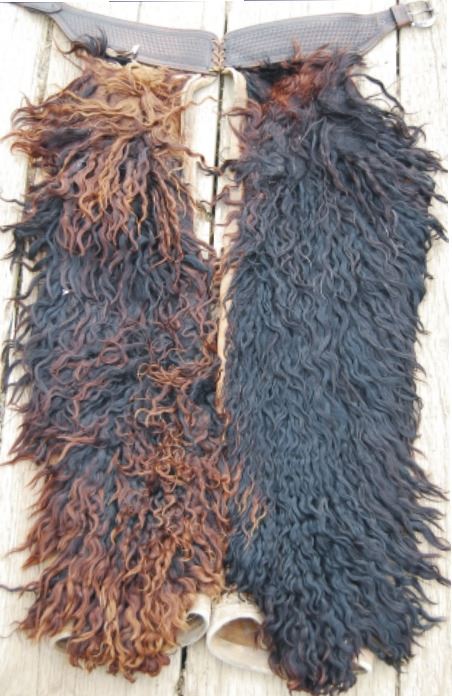 early angord step in chaps