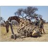 Image 1 : 4 Day Namibian Giraffe and Cow Eland Hunt