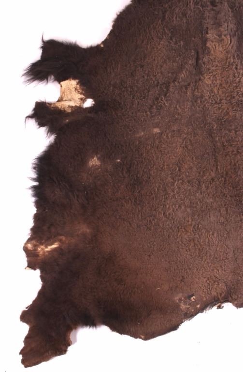 Montana Tanned Buffalo Hide Rug